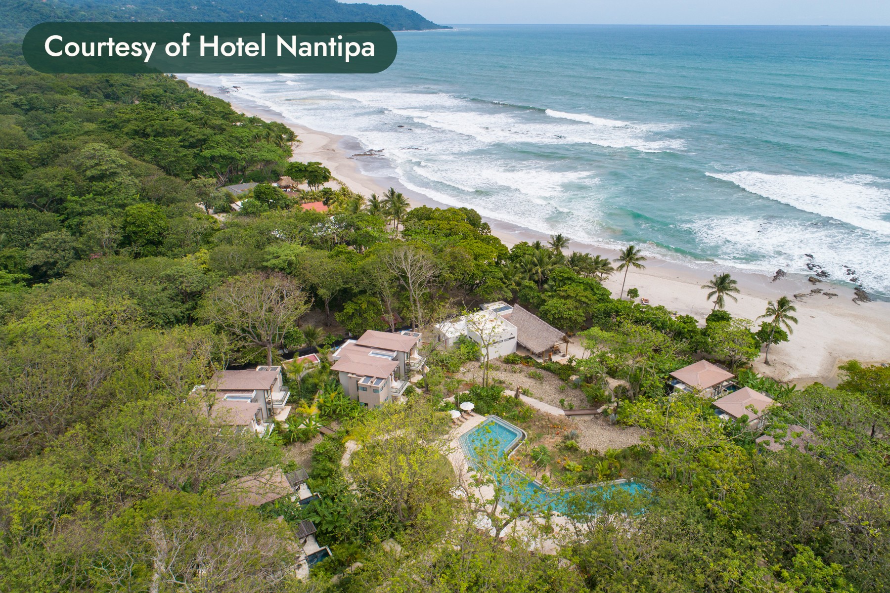 Villas and a pool among rainforest above a long surf beach in Costa Rica. Courtesy of Hotel Nantipa.