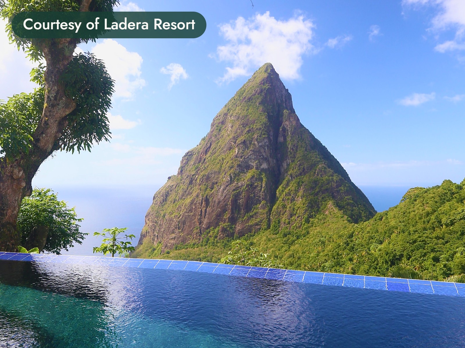 An infinity pool facing one of the Pitons in St. Lucia. Courtesy of Ladera Resort.