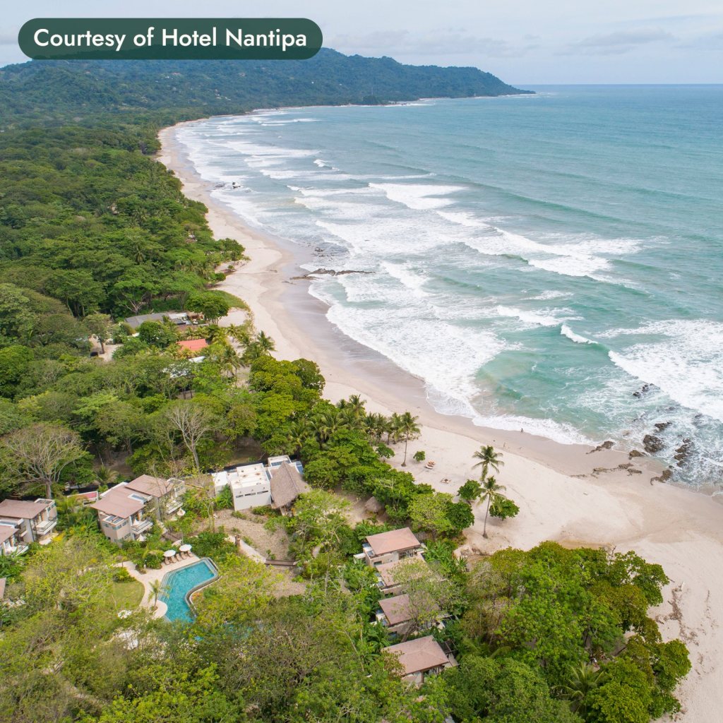 Rainforest meeting a long sandy beach on Costa Rica’s Pacific coast. Courtesy of Hotel Nantipa.